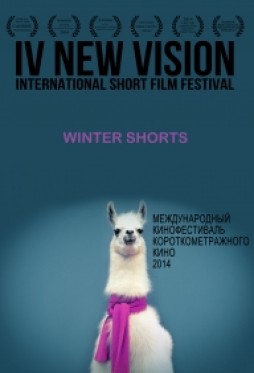    new vision